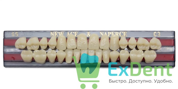 Гарнитур акриловых зубов C3, S5, Naperce и New Ace (28 шт) - фото 11358