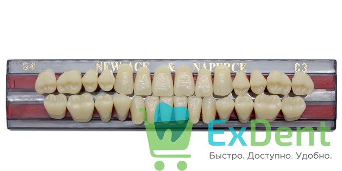 Гарнитур акриловых зубов C3, S4, Naperce и New Ace (28 шт) - фото 11359