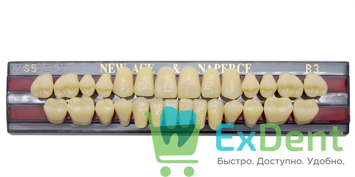 Гарнитур акриловых зубов B3, S5, Naperce и New Ace (28 шт) - фото 11360