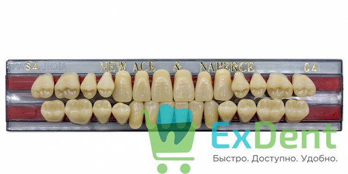 Гарнитур акриловых зубов C4, S4, Naperce и New Ace (28 шт) - фото 21513