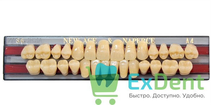 Гарнитур акриловых зубов A4, S6, Naperce и New Ace (28 шт) - фото 27248
