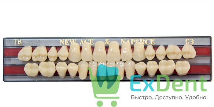 Гарнитур акриловых зубов C3, T6, Naperce и New Ace (28 шт) - фото 27249