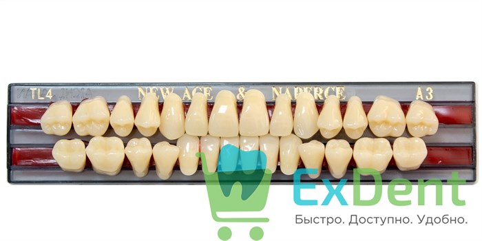 Гарнитур акриловых зубов A3, TL4, Naperce и New Ace (28 шт) - фото 27251