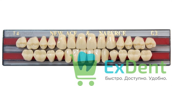 Гарнитур акриловых зубов C3, T4, Naperce и New Ace (28 шт) - фото 27252