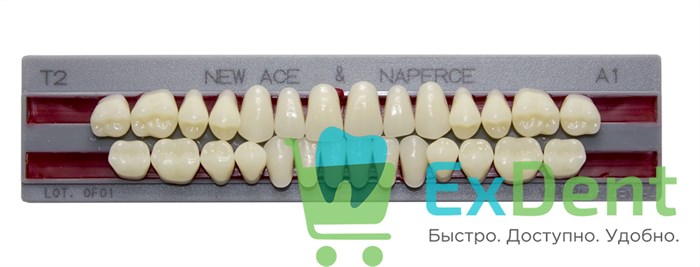 Гарнитур акриловых зубов A1, T2, Naperce и New Ace (28 шт) - фото 31288