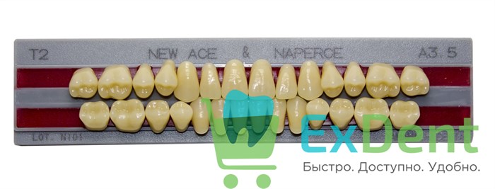 Гарнитур акриловых зубов A3,5, T2, Naperce и New Ace (28 шт) - фото 31290