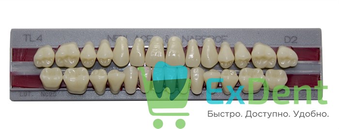 Гарнитур акриловых зубов D2, TL4, Naperce и New Ace (28 шт) - фото 31292