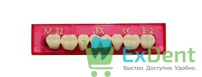 Гарнитур акриловых боковых зубов B2, M32L, FX (8 шт) - фото 31297