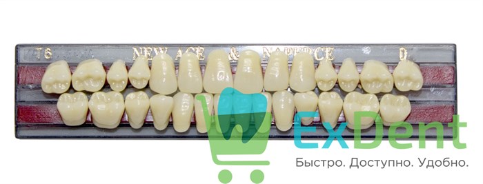 Гарнитур акриловых зубов D3, T6, Naperce и New Ace (28 шт) - фото 31298
