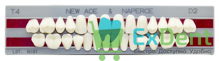 Гарнитур акриловых зубов D2, T4, Naperce и New Ace (28 шт) - фото 33284