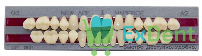 Гарнитур акриловых зубов A2, О3, Naperce и New Ace (28 шт) - фото 33285
