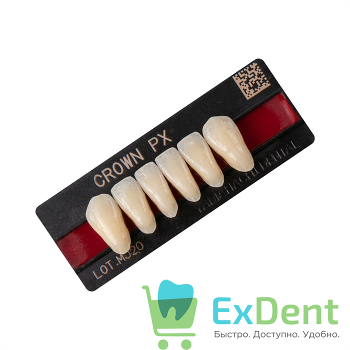 Гарнитур фронтальных зубов  Crown PX - нижние, цвет A3 фасон N71L, композитные трехслойные (6шт) 19547 - фото 36571