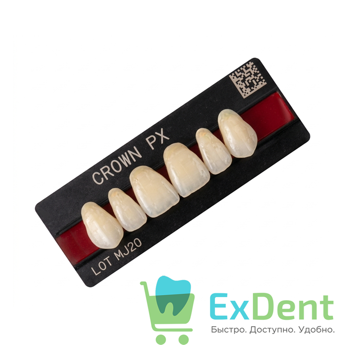 Гарнитур фронтальных зубов  Crown PX - верхние, цвет A2 фасон S42S, композитные трехслойные (6шт) 18701 - фото 36572