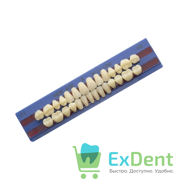 Гарнитур акриловых зубов A1, T1, M30, Million и New Ace (28 шт) 16410 - фото 36578