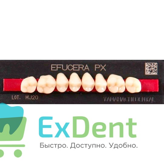 Гарнитур боковых зубов  Efucera PX - верхние, цвет A3 фасон 28, композитные трехслойные (8шт) - фото 39896