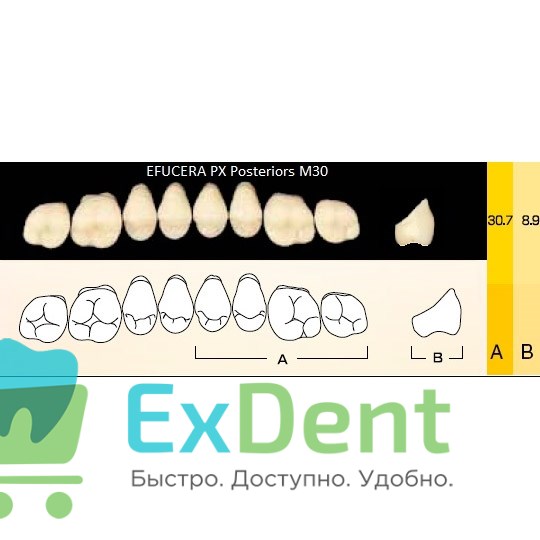 Гарнитур боковых зубов  Efucera PX - верхние, цвет A3 фасон 30, композитные трехслойные (8шт) - фото 39903