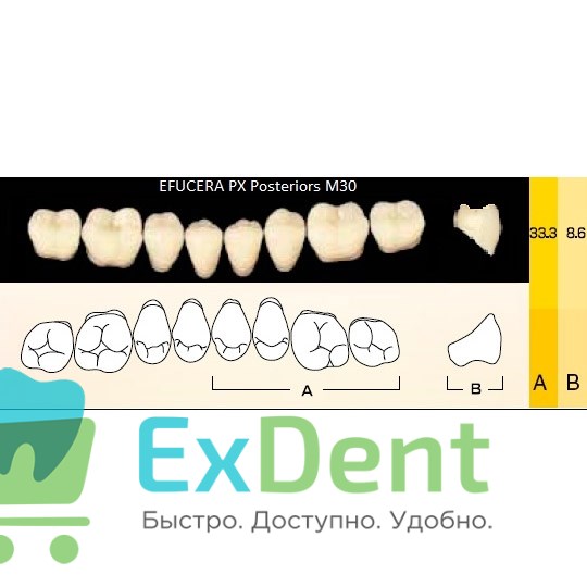 Гарнитур боковых зубов  Efucera PX - нижние, цвет A2 фасон 30, композитные трехслойные (8шт) - фото 39909