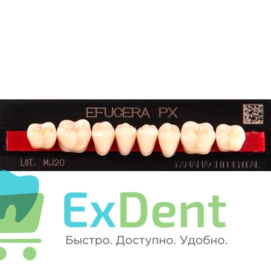 Гарнитур боковых зубов  Efucera PX - нижние, цвет A3,5 фасон 30, композитные трехслойные (8шт) - фото 39912