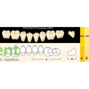 Гарнитур боковых зубов  Efucera PX - нижние, цвет A1 фасон 32, композитные трехслойные (8шт) - фото 39923