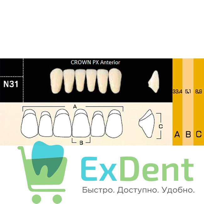 Гарнитур фронтальных зубов  Crown PX - нижние, цвет A3,5 фасон N31, композитные трехслойные (6шт) - фото 39944