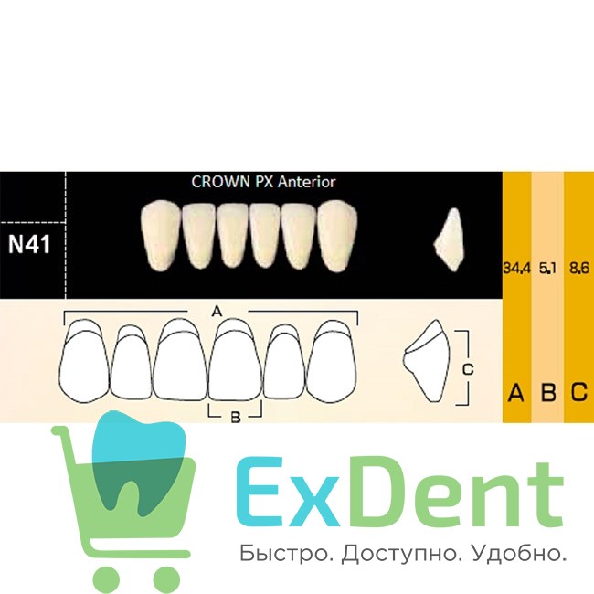 Гарнитур фронтальных зубов  Crown PX - нижние, цвет A2 фасон N41, композитные трехслойные (6шт) - фото 39947