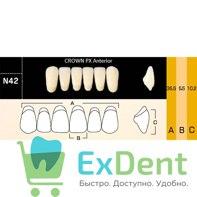 Гарнитур фронтальных зубов  Crown PX - нижние, цвет A1 фасон N42, композитные трехслойные (6шт) - фото 39949