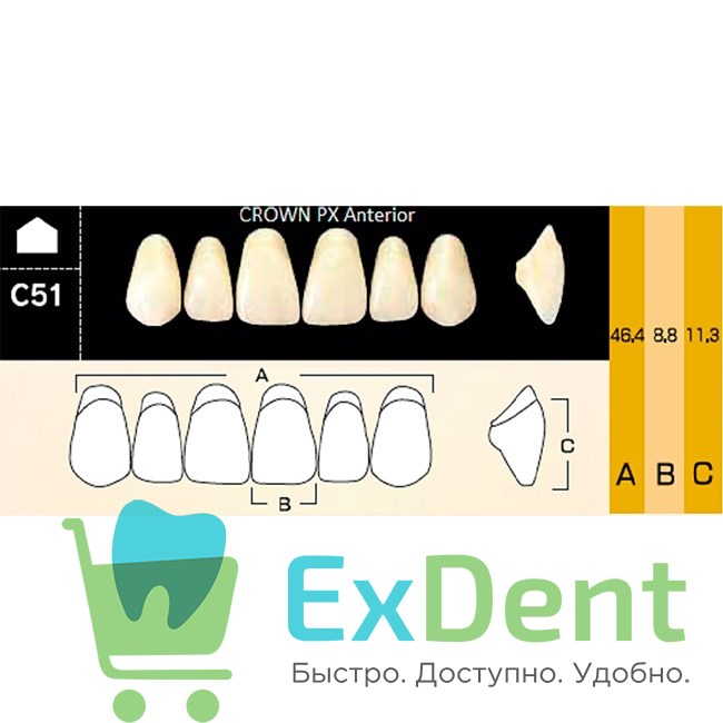 Гарнитур фронтальных зубов  Crown PX - верхние, цвет A1 фасон C51, композитные трехслойные (6шт) - фото 39963