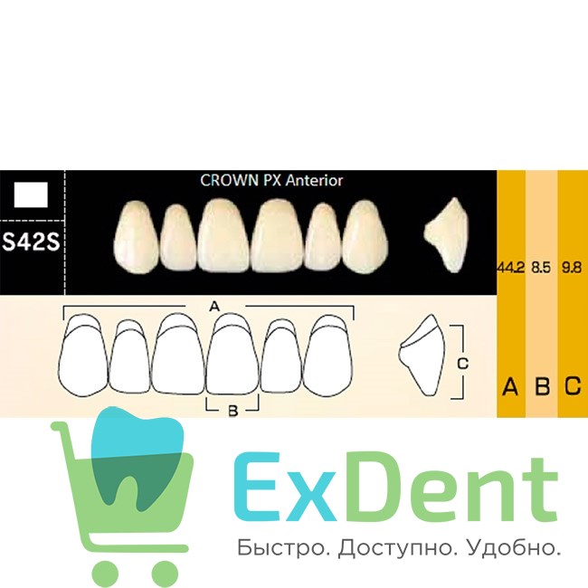 Гарнитур фронтальных зубов  Crown PX - верхние, цвет A1 фасон S42S, композитные трехслойные (6шт) - фото 39969