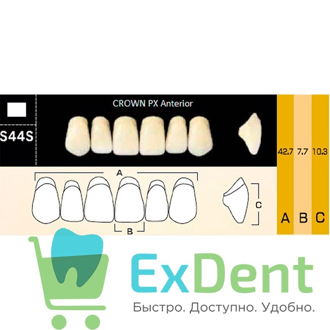 Гарнитур фронтальных зубов  Crown PX - верхние, цвет A2 фасон S44S, композитные трехслойные (6шт) - фото 39975