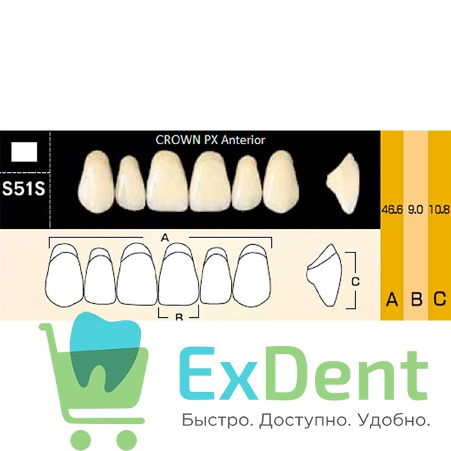 Гарнитур фронтальных зубов  Crown PX - верхние, цвет A3 фасон S51S, композитные трехслойные (6шт) - фото 39979