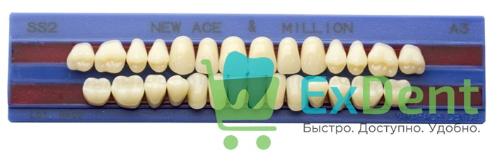 Гарнитур акриловых зубов A3, SS2, M28, Million и New Ace (28 шт) - фото 40493