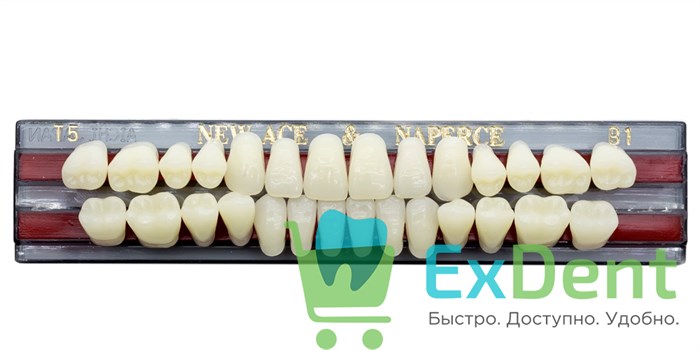 Гарнитур акриловых зубов B1, T5, Naperce и New Ace (28 шт) - фото 9445