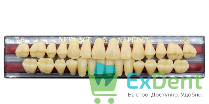 Гарнитур акриловых зубов A3,5, TL6, Naperce и New Ace (28 шт) - фото 9446