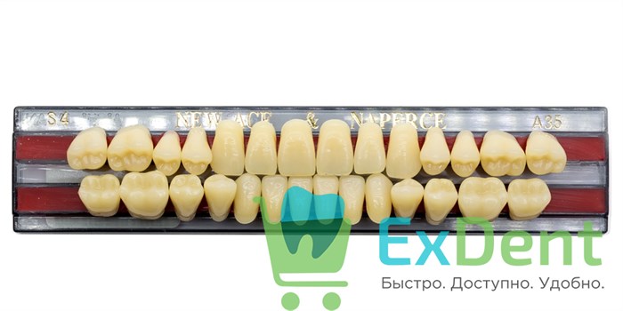 Гарнитур акриловых зубов A3,5, S4, Naperce и New Ace (28 шт) - фото 9454