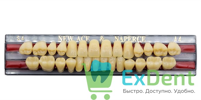 Гарнитур акриловых зубов A4, S4, Naperce и New Ace (28 шт) - фото 9458