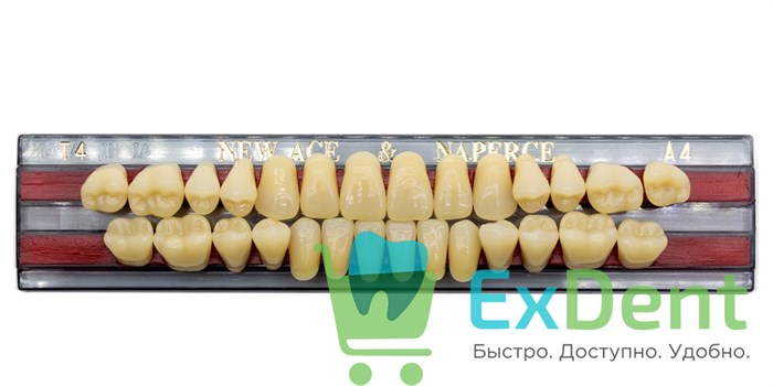 Гарнитур акриловых зубов A4, T4, Naperce и New Ace (28 шт) - фото 9459