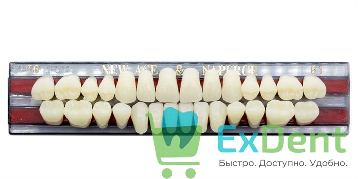 Гарнитур акриловых зубов B1, T6, Naperce и New Ace (28 шт) - фото 9464