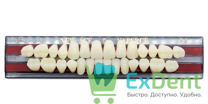 Гарнитур акриловых зубов B1, T4, Naperce и New Ace (28 шт) - фото 9466