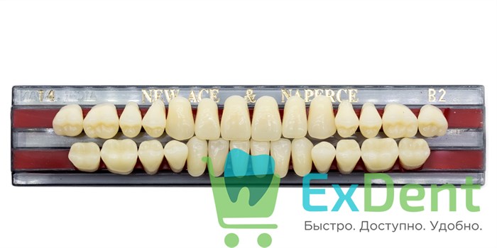 Гарнитур акриловых зубов B2, T4, Naperce и New Ace (28 шт) - фото 9467