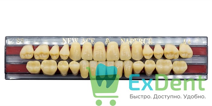 Гарнитур акриловых зубов A4, S5, Naperce и New Ace (28 шт) - фото 9473