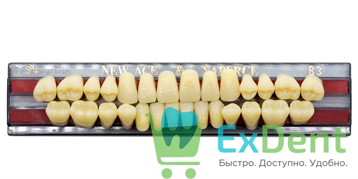 Гарнитур акриловых зубов B3, S4, Naperce и New Ace (28 шт) - фото 9477