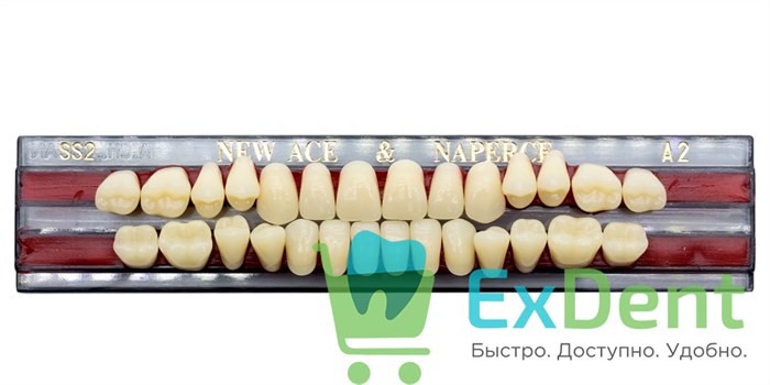 Гарнитур акриловых зубов A2, SS2, Naperce и New Ace (28 шт) - фото 9491