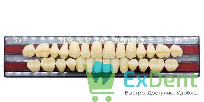Гарнитур акриловых зубов A2, S3, Naperce и New Ace (28 шт) - фото 9493