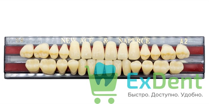 Гарнитур акриловых зубов A2, S4, Naperce и New Ace (28 шт) - фото 9494