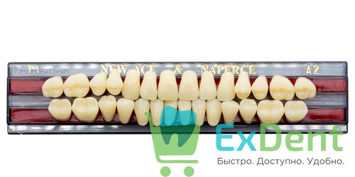 Гарнитур акриловых зубов A2, T1, Naperce и New Ace (28 шт) - фото 9497