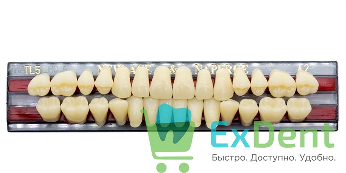 Гарнитур акриловых зубов A2, TL5, Naperce и New Ace (28 шт) - фото 9500