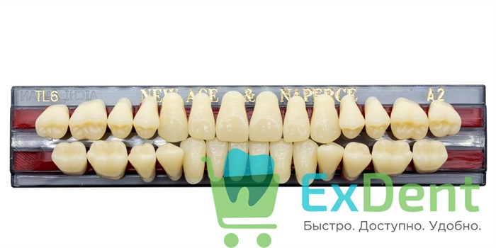 Гарнитур акриловых зубов A2, TL6, Naperce и New Ace (28 шт) - фото 9501