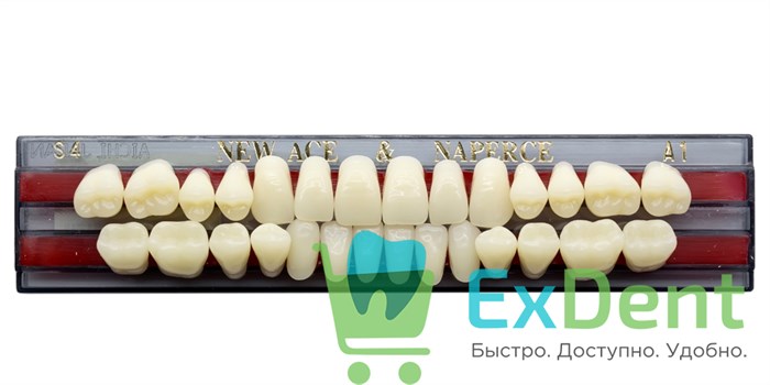 Гарнитур акриловых зубов A1, S4, Naperce и New Ace (28 шт) - фото 9502