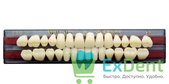 Гарнитур акриловых зубов A1, T3, Naperce и New Ace (28 шт) - фото 9504