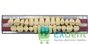 Гарнитур акриловых зубов D4, T6, Naperce и New Ace (28 шт)